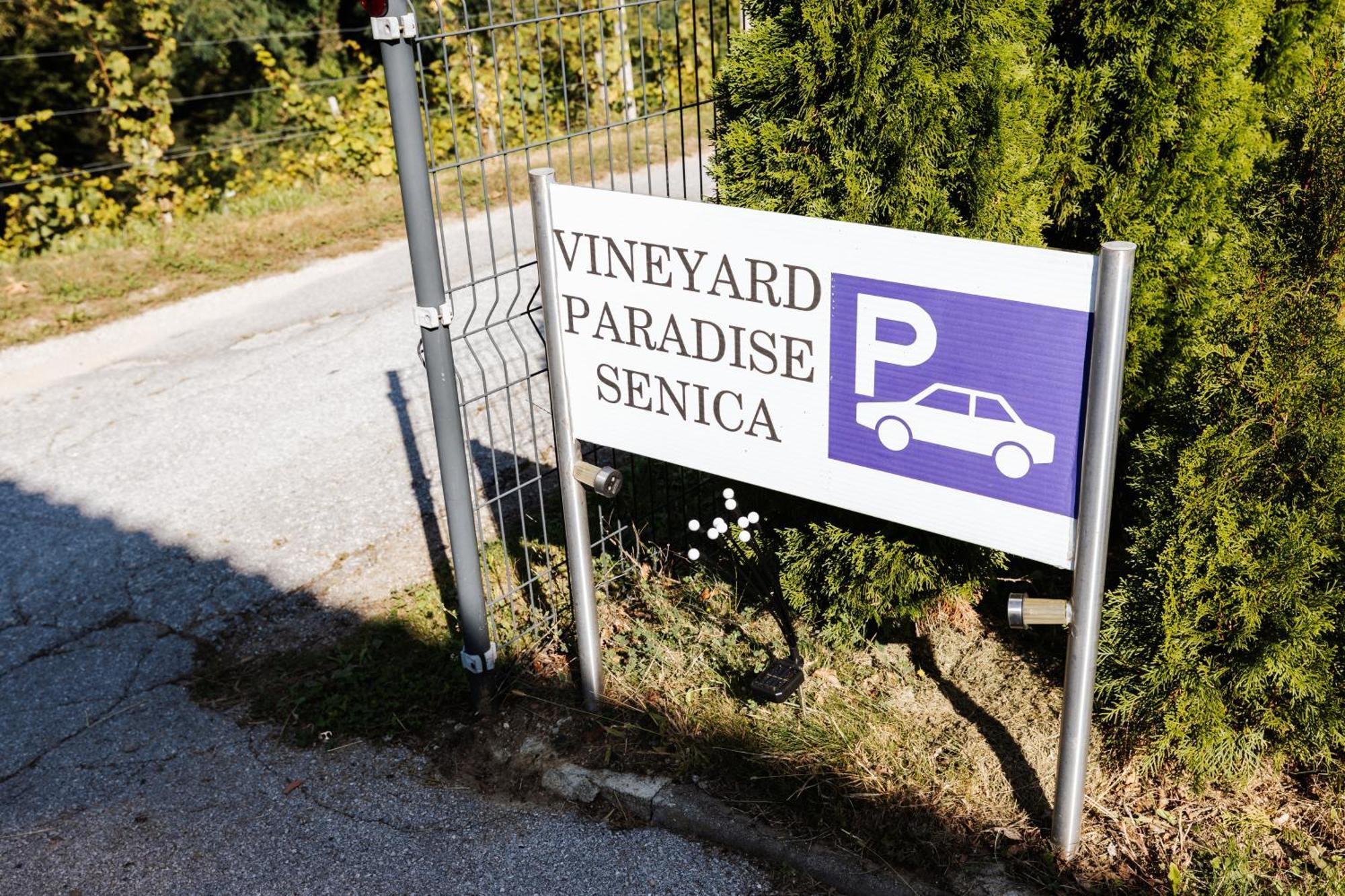 Vineyard Paradise Senica Dramlje Luaran gambar